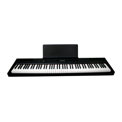 ECHORD SP10 Black Pianoforte digitale 88 tasti pesati nero ESPOSTO