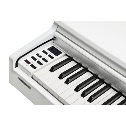  KURZWEIL  CUP M1 White Pianoforte Digitale 88 tasti Pesati