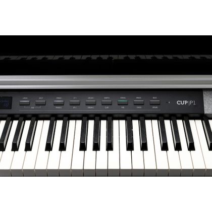  KURZWEIL CUP P1 BP Pianoforte Digitale 88 tasti Pesati