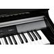  KURZWEIL CUP P1 BP Pianoforte Digitale 88 tasti Pesati