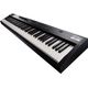 Roland RD-88EX Stage Piano 88 tasti pesati